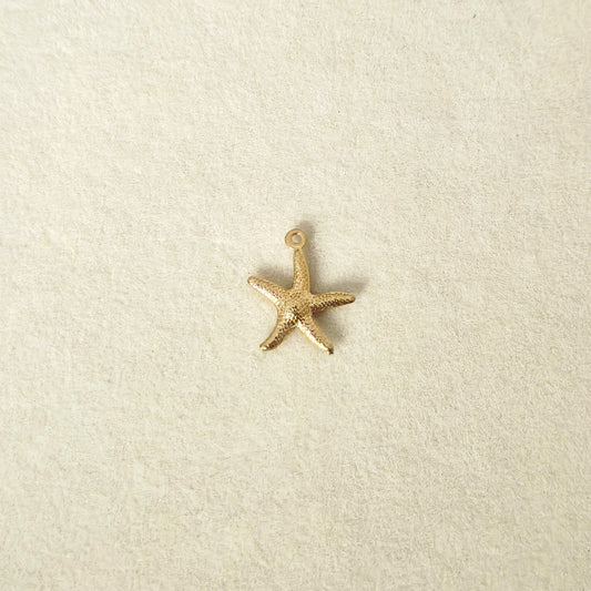 Charm Stella Marina